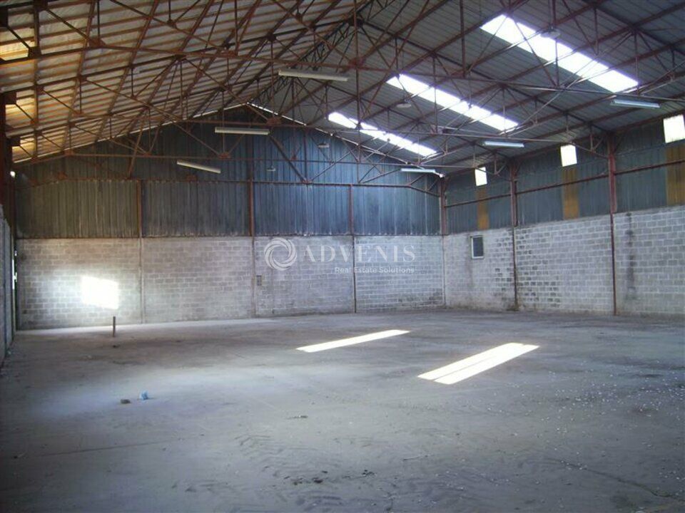 Locaux d'activités à louer