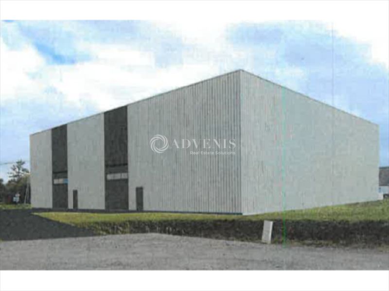 Local d'activités de 1000 m² en visibilité voie express avec terrain clos de 2800 m²