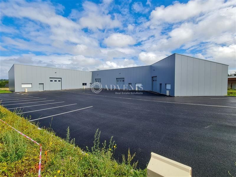 Location local d''activites 596 m² divisibles à partir de 168 m²