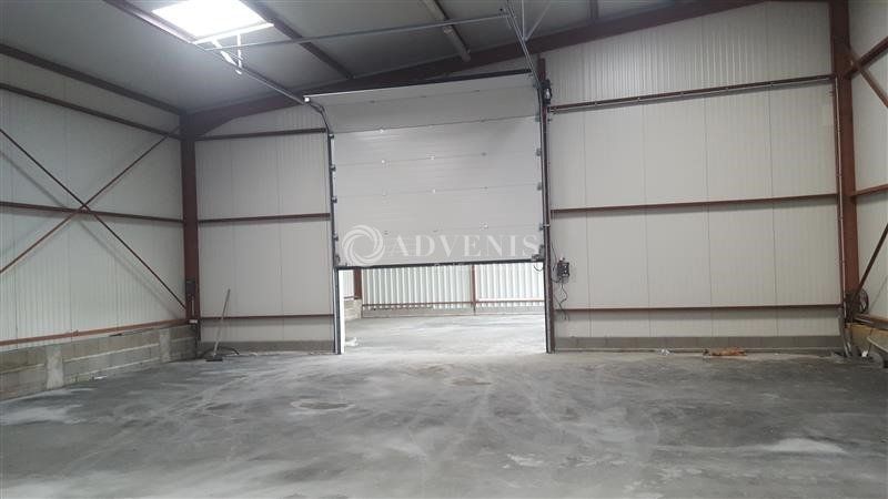 Local d'activités de 550 m² sur terrain clos de 2500 m²