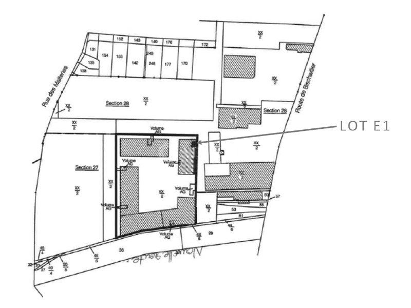 Cellule commerciale en pied d'immeuble à louer - Centre-Ville - Schiltigheim
