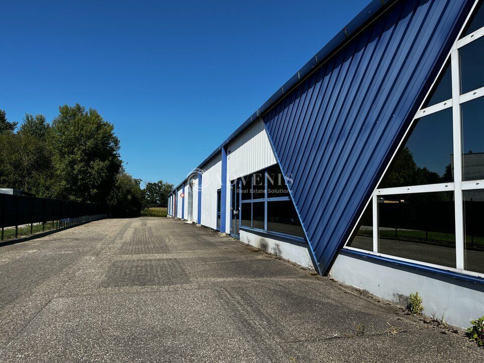 Entrepôt à louer - ZA La Vigie - Ostwald