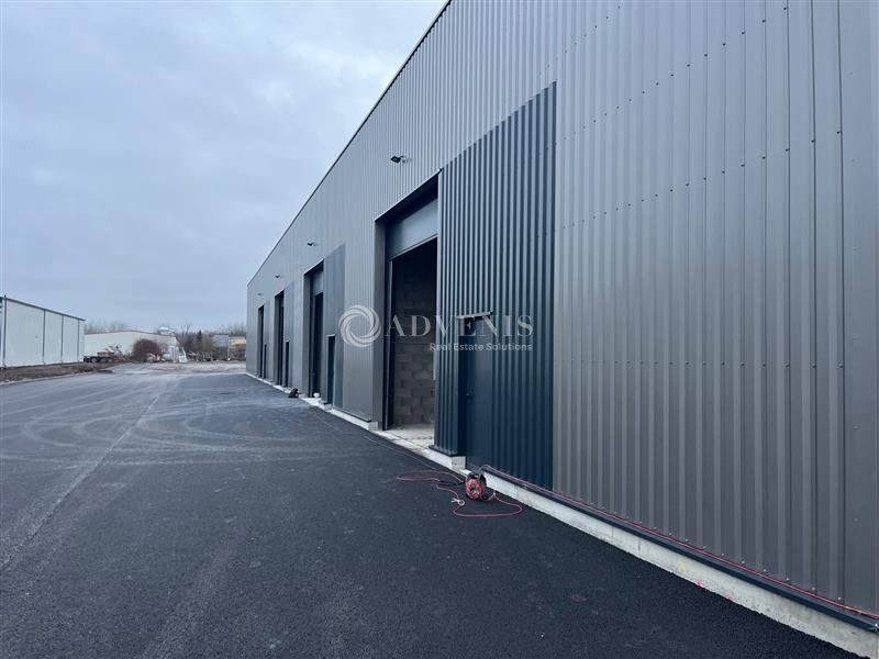 Dernière cellule d'activité à louer avec box de stockage - Zone Industrielle - Hoerdt