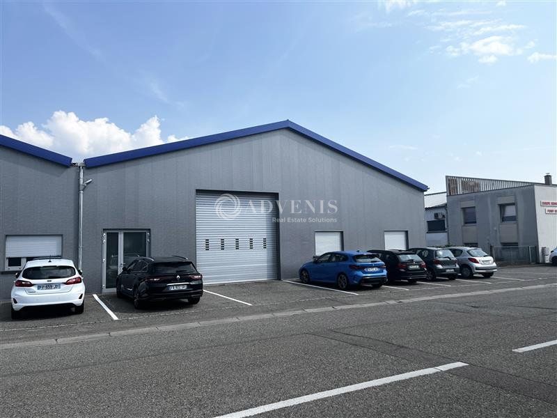 Locaux à usage d'activités à louer - ZAC des Maréchaux - Mundolsheim