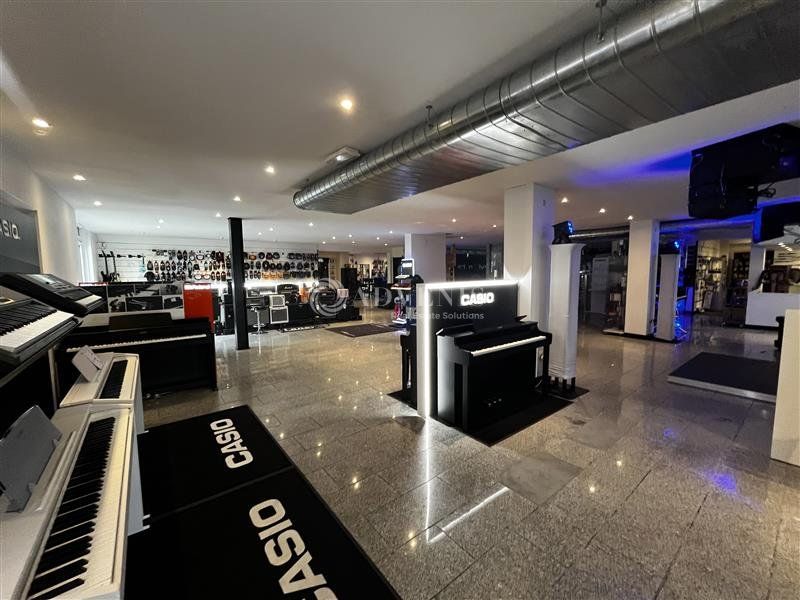 Showroom sur axe passant à louer - Zone Industrielle de l'Industrie - Illkirch-Graffenstaden