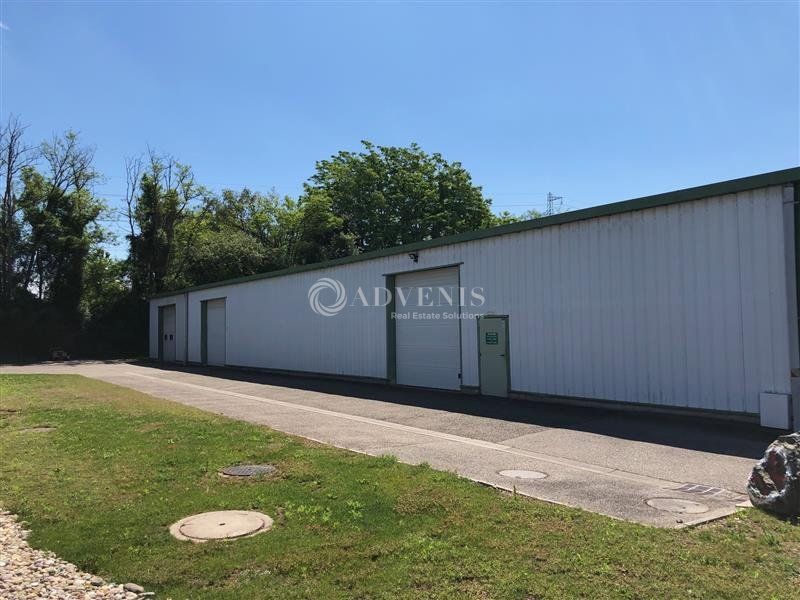 Hall d'activité à louer - ZI Forlen - Geispolsheim