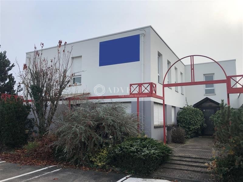 Location local d''activites 1005 m² divisibles à partir de 1005 m²