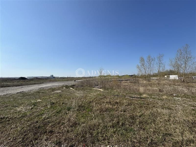 Vente terrain 50000 m² divisibles à partir de 1500 m²