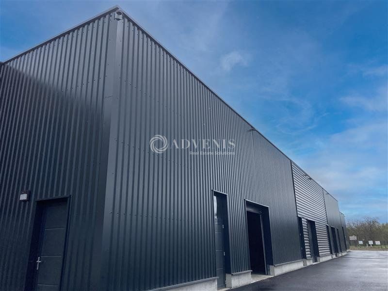 Cellule d'activité à louer - Ecoparc Rhenan - Reichstett