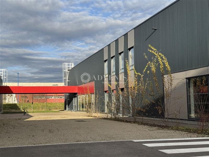 Locaux à usage de showroom avec bureaux à louer - Zone d'Activités - Eschau