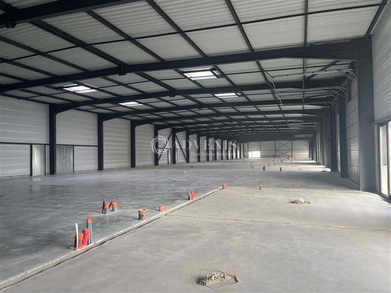 Cellule à usage d'activité à louer - ZI de la Zinsel - Schweighouse sur Moder