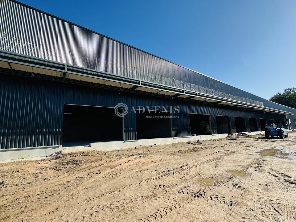 Cellules multi-activités à vendre - Zone du Tobenhof - Haguenau