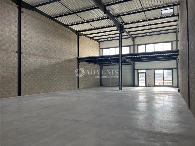 Cellule d'activité neuve à louer - Parc du Wiesel - Geispolsheim