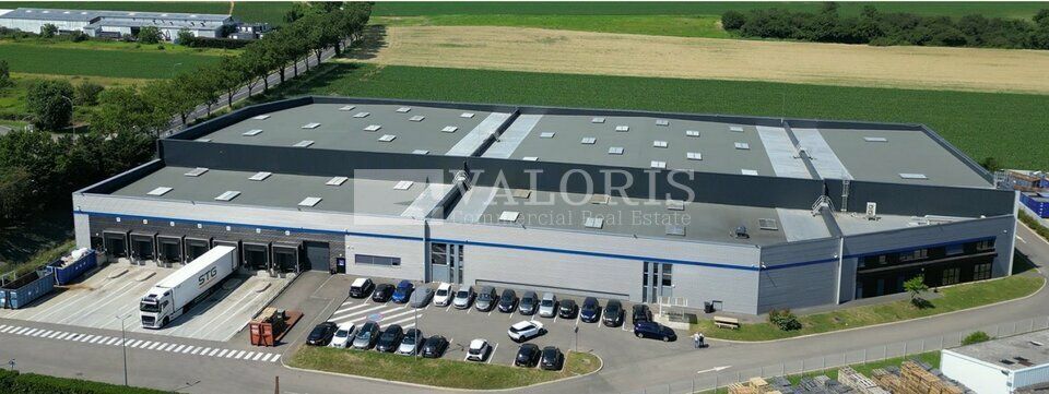 À LOUER – Plateforme logistique fonctionnelle à Corbas