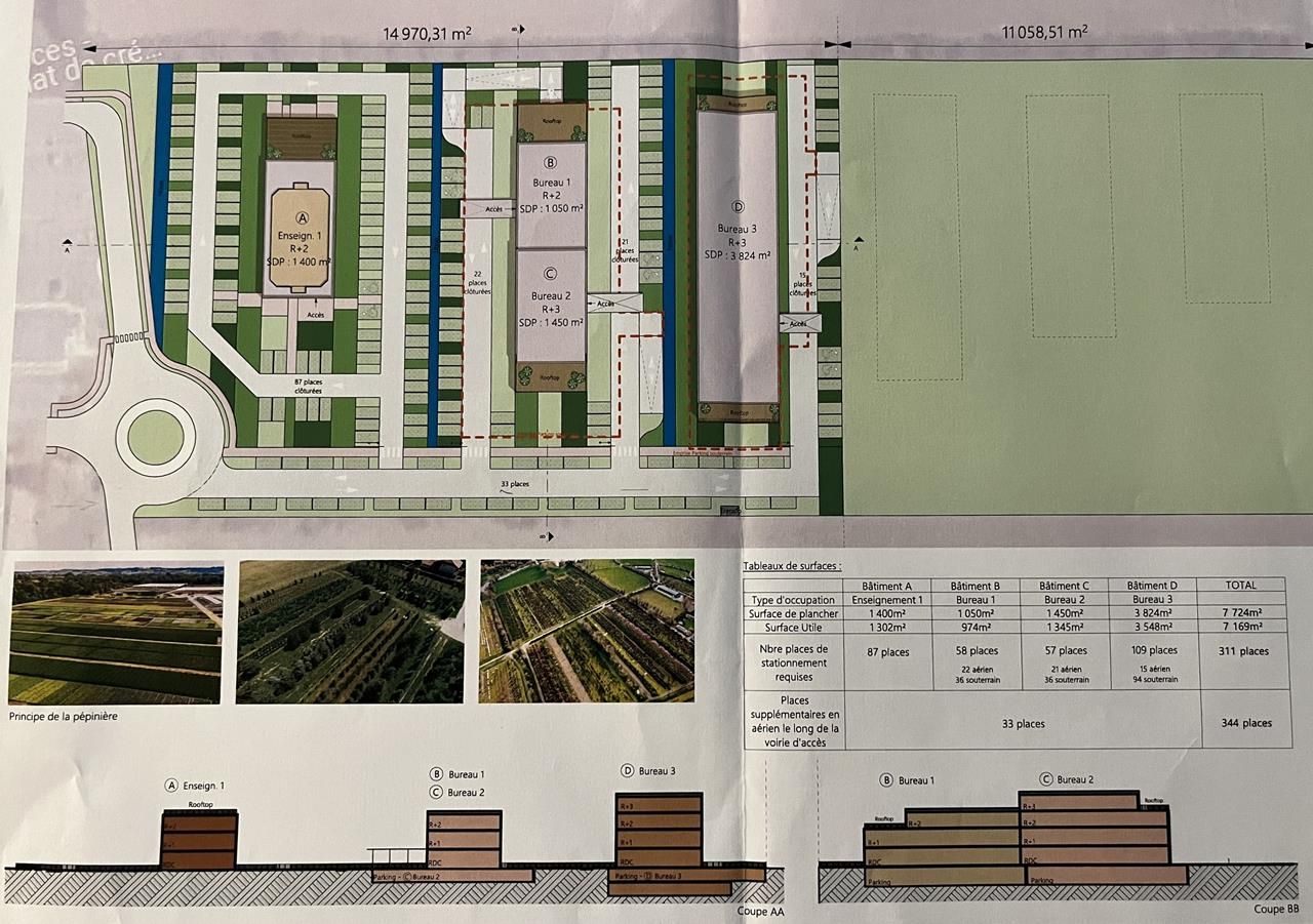 plan de masse et tableau surfaces