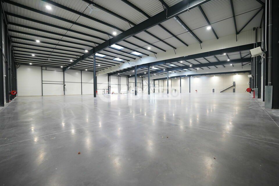 LOCAL D'ACTIVITE A LOUER - 4 564 m² - SAINT-LAURENT-DE-MURE