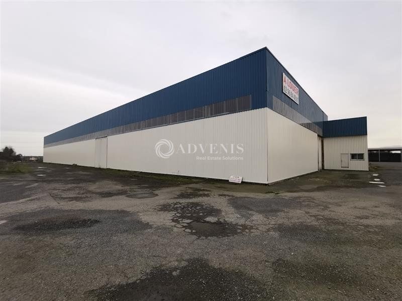 Location local d''activites 5000 m² non divisibles