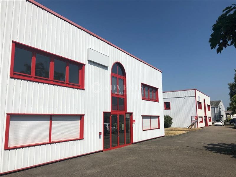 Location local d''activites 2384 m² divisibles à partir de 1520 m²