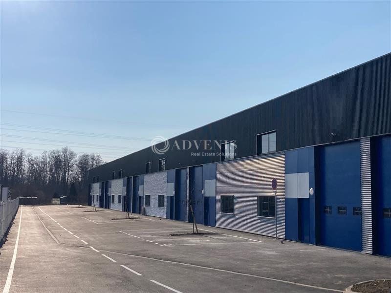 Local d'activité avec bureaux à louer - Zone Industrielle Sud - Illkirch Graffenstaden