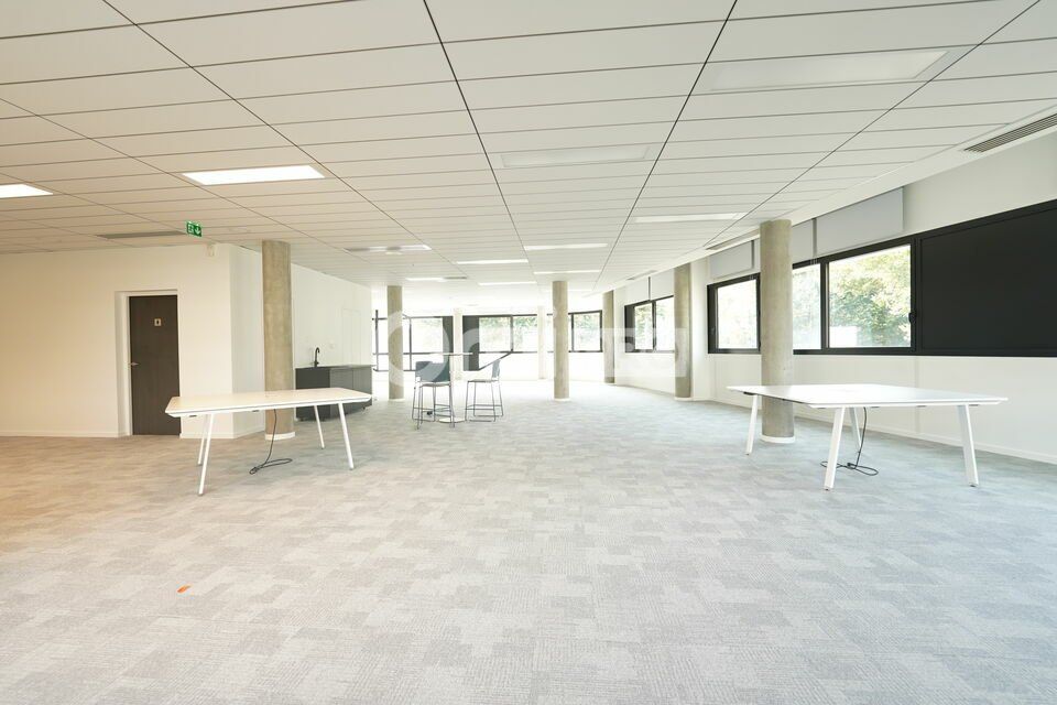 BUREAUX A LOUER - 243,80 m² - CHAMPAGNE AU MONT D'OR
