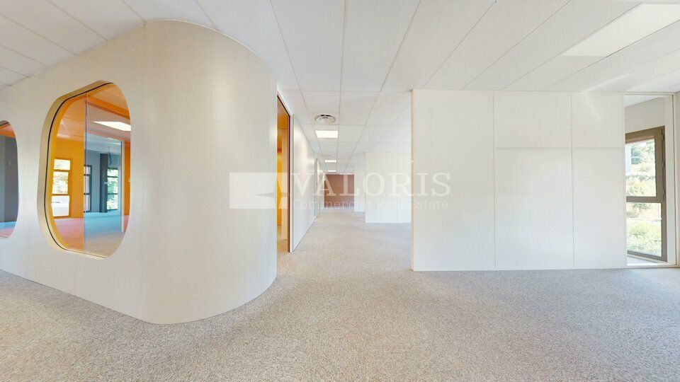 Bureaux modernes et haut de gamme à louer.