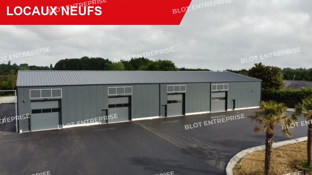 Location entrepôts 225 m² non divisibles