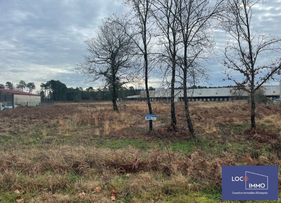 Vente terrain 8077 m² divisibles à partir de 6446 m²