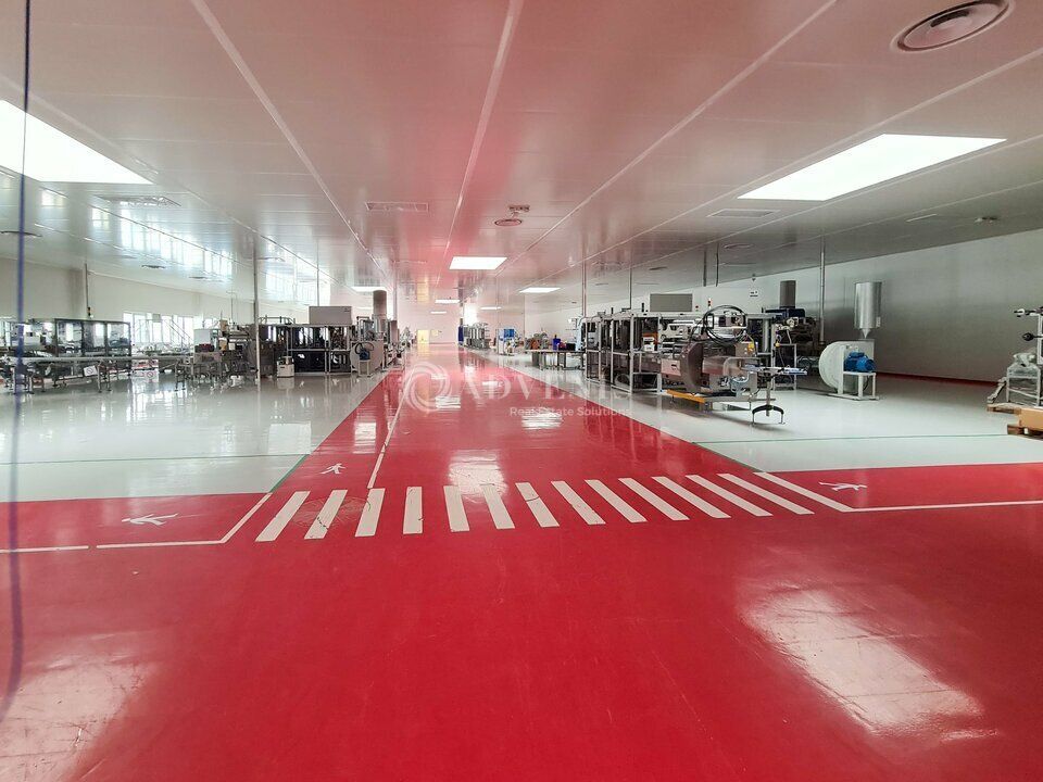 CELLULES D'ACTIVITE - ENTREPOTS - ZI LES CHATELETS