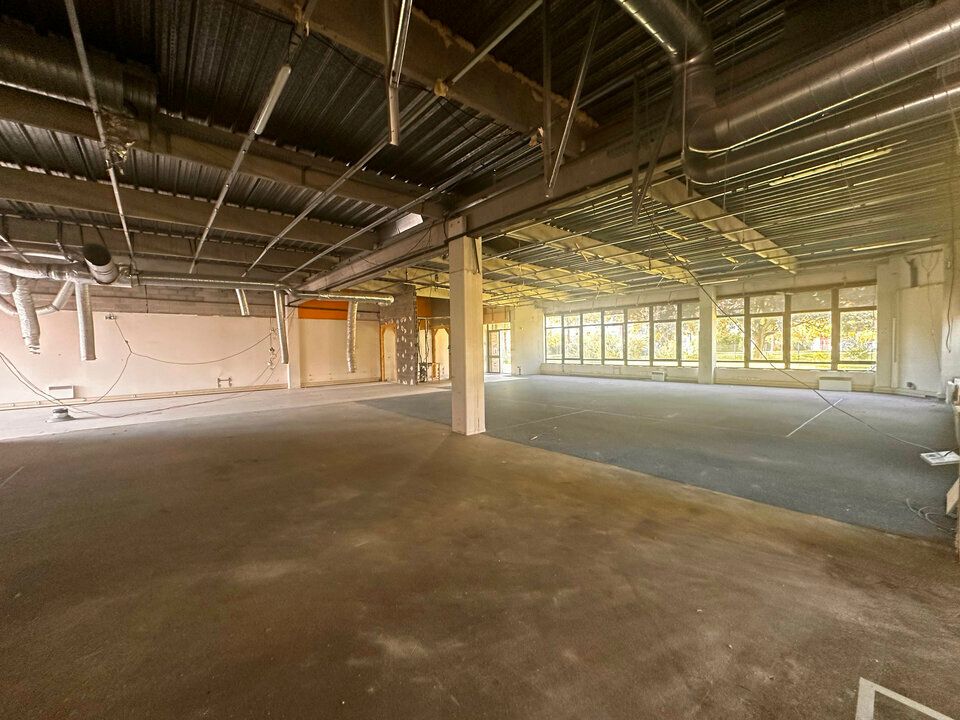 LINGOLSHEIM - PARC DES TANNERIES 