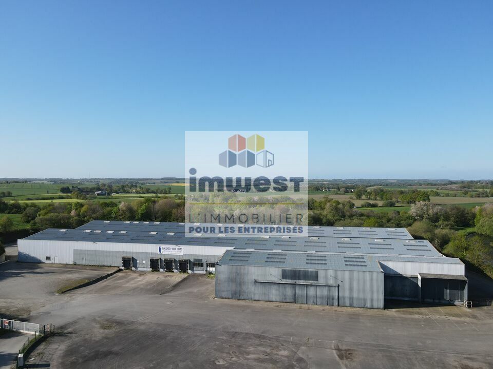 Vente entrepot 9560 m² non divisibles