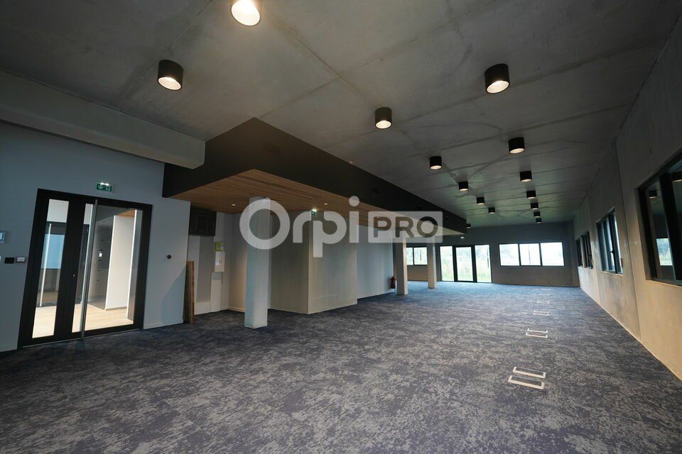 Location local d''activites 532 m² divisibles à partir de 150 m²