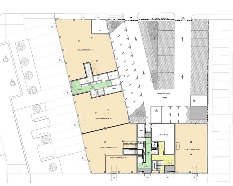 A LOUER CELLULE 1857