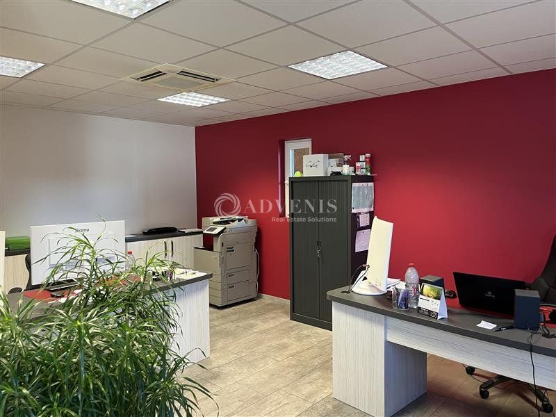 Local d'activité et de stockage à louer - Parc d'Activité Sud - Obernai