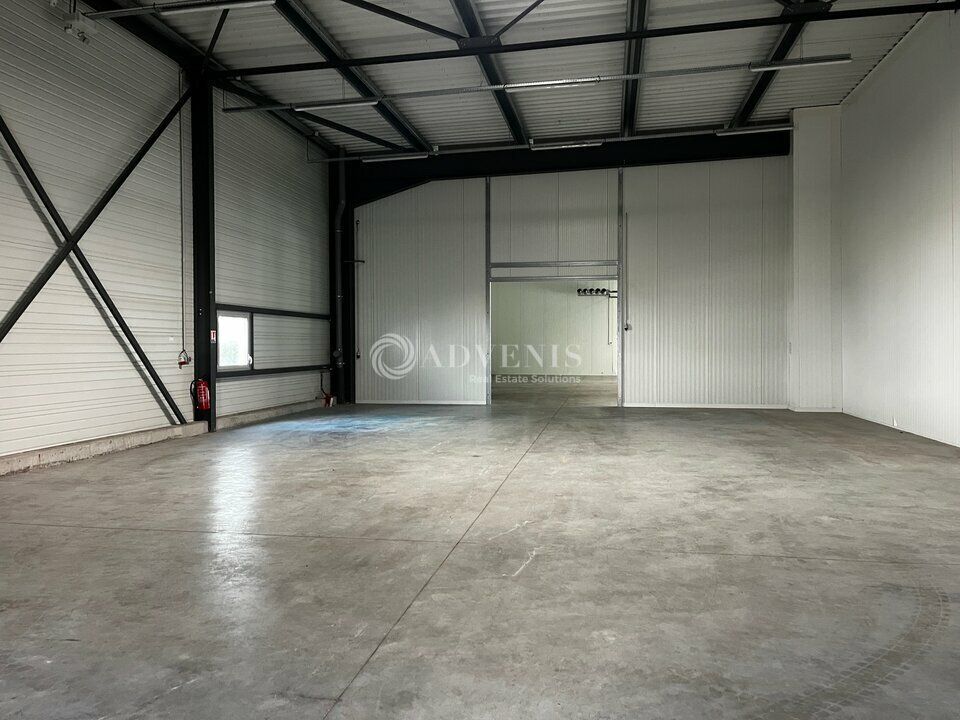 Locaux à usage d'activité, stockage et showroom à louer - Zone Industrielle - Bischheim