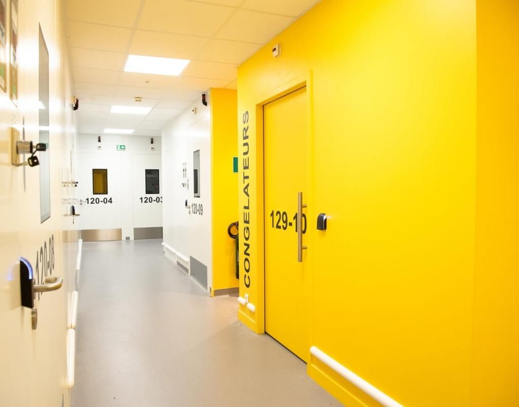 Location entrepôts 1000 m² divisibles à partir de 80 m²