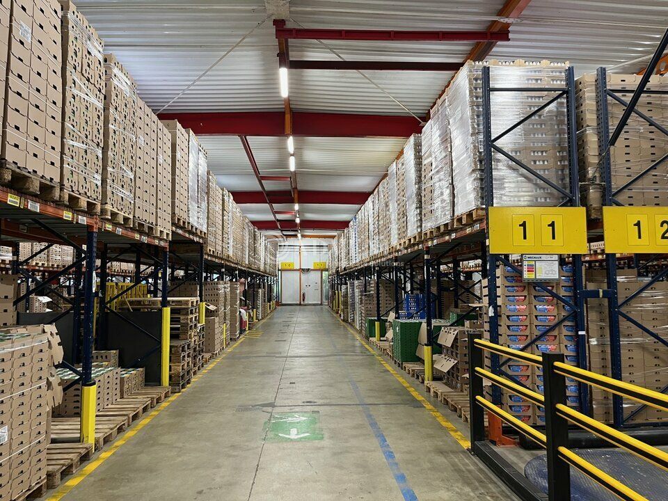 Location entrepot 4676 m² non divisibles
