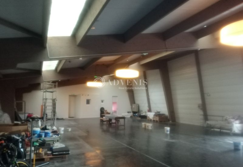 A vendre entrepôt de 800 m² environ + appartement  de 120 m²