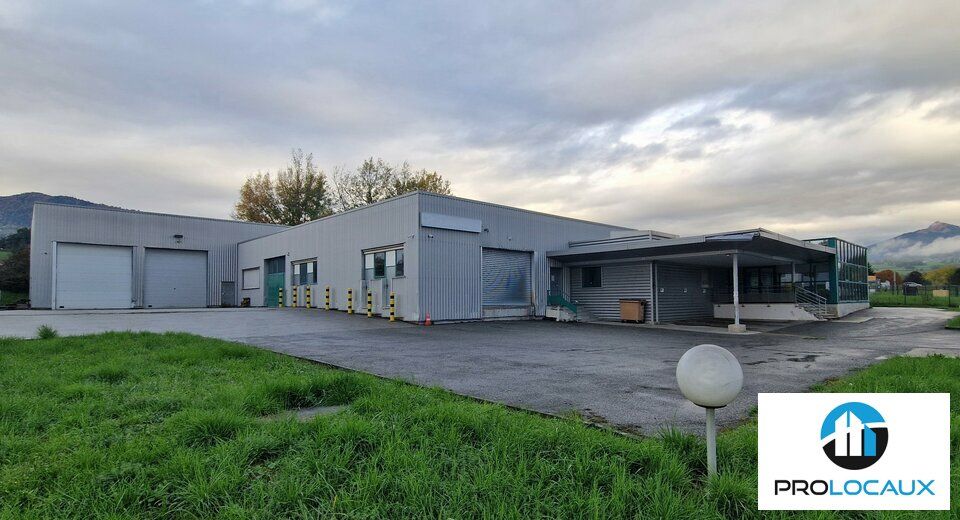 Vente local d''activites 1390 m² non divisibles