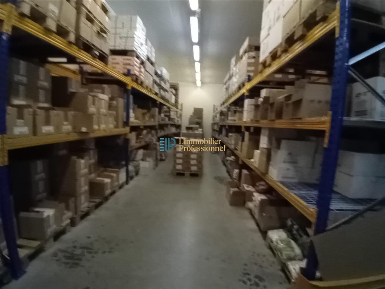 Vente local d''activités 355 m² à Rosporden