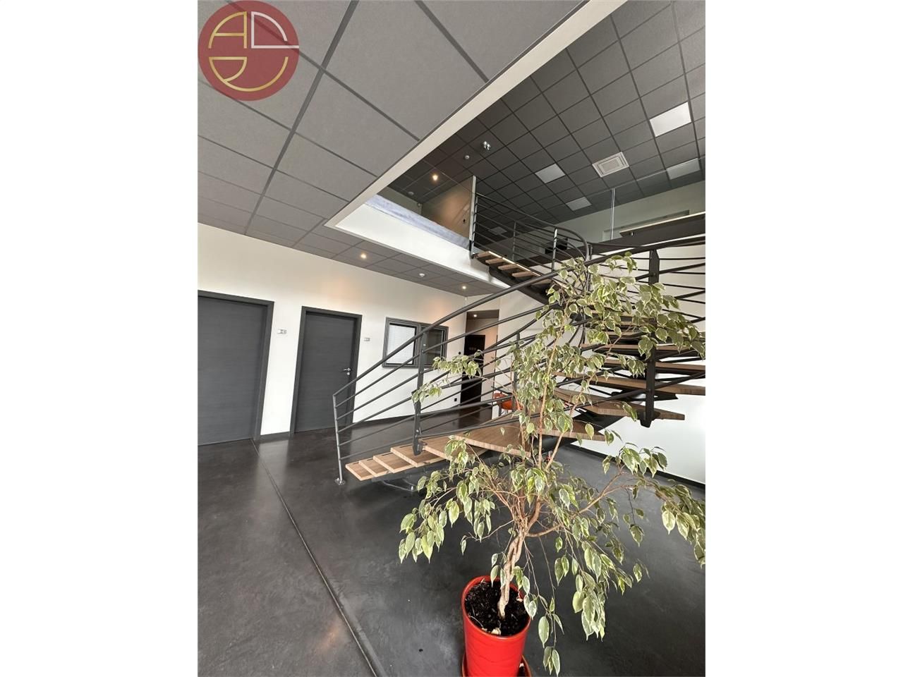 650 m² pour ce local commercial en location à Colomiers