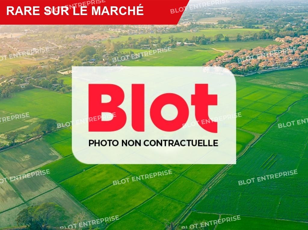 Vente terrain 380 m² non divisibles