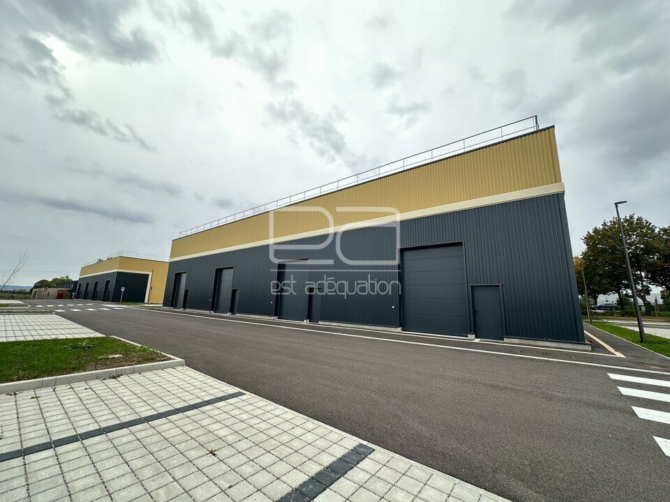 Vente local d''activites 2800 m² divisibles à partir de 1400 m²
