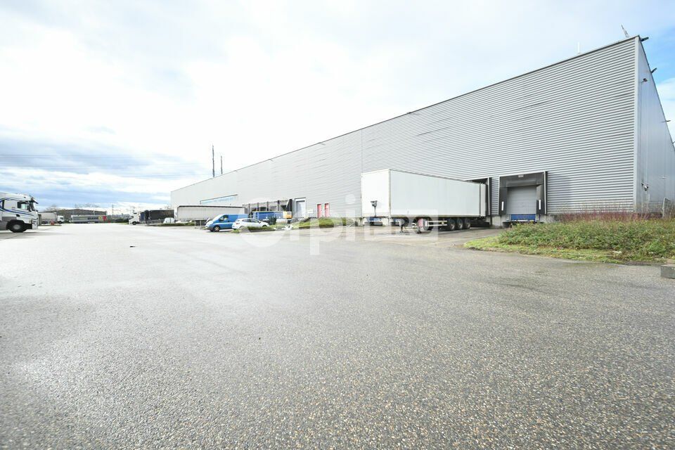 Location entrepot 7933 m² divisibles à partir de 3876 m²