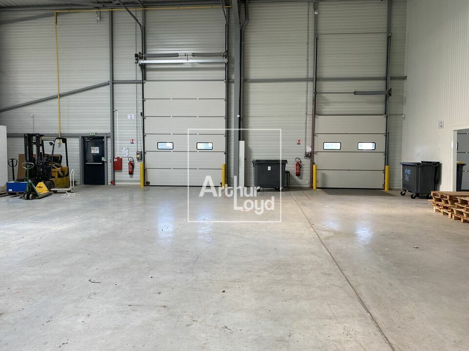 Entrepôt neuf à louer - LIEUSAINT