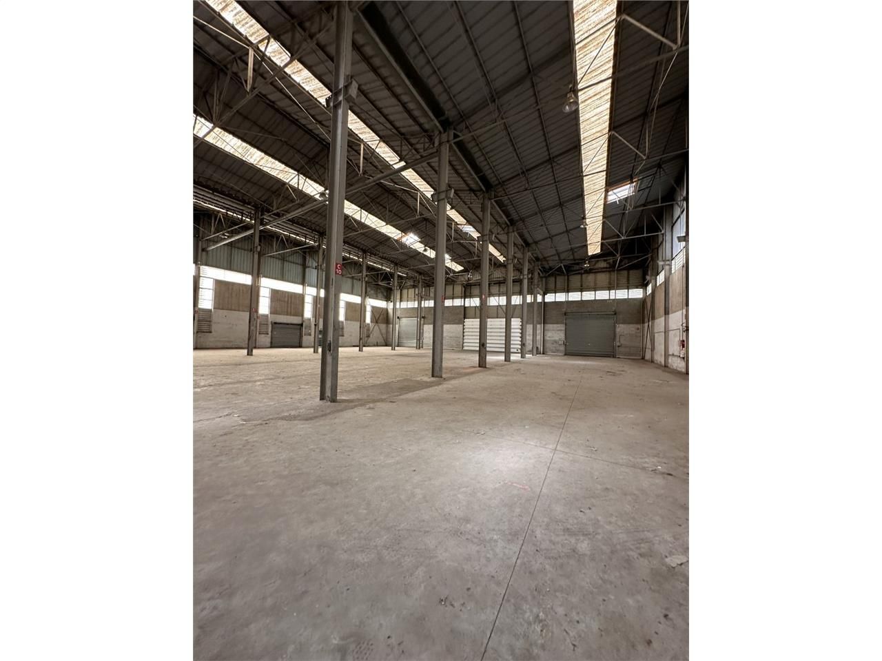 Vente local 3196 m² à SAINT SIMON