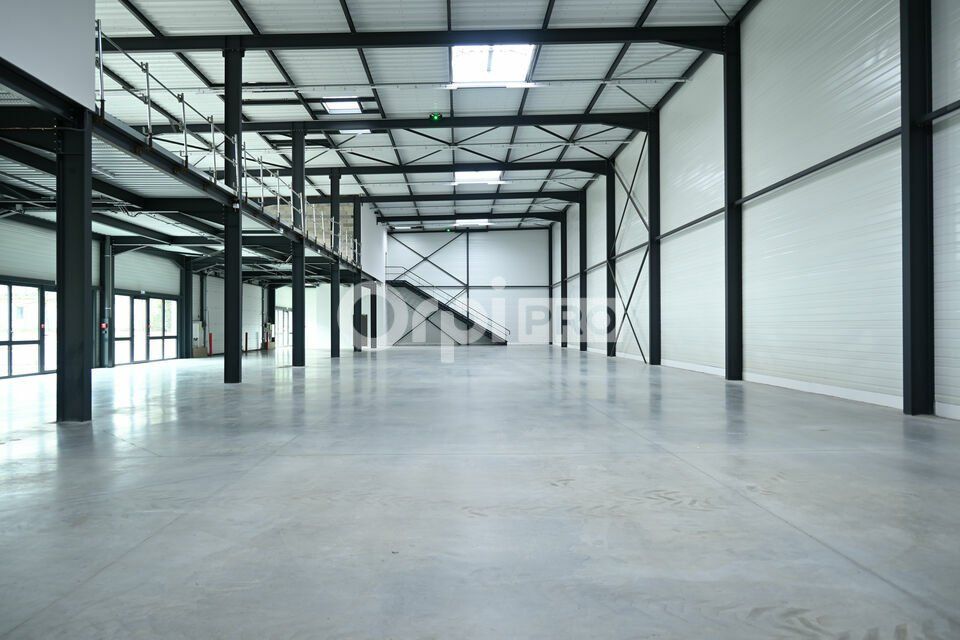 Location local d''activites 1740 m² divisibles à partir de 274 m²