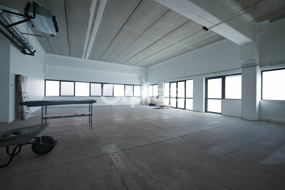 Location local d''activites 1668 m² divisibles à partir de 220 m²