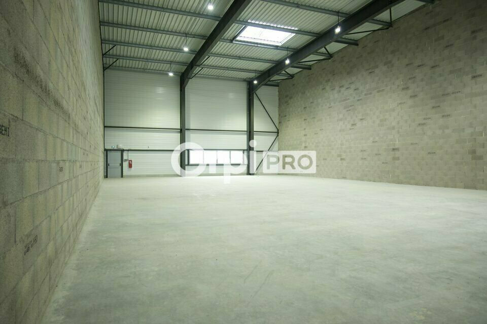 LOCAL D'ACTIVITE A LOUER - 565 m² - DAGNEUX