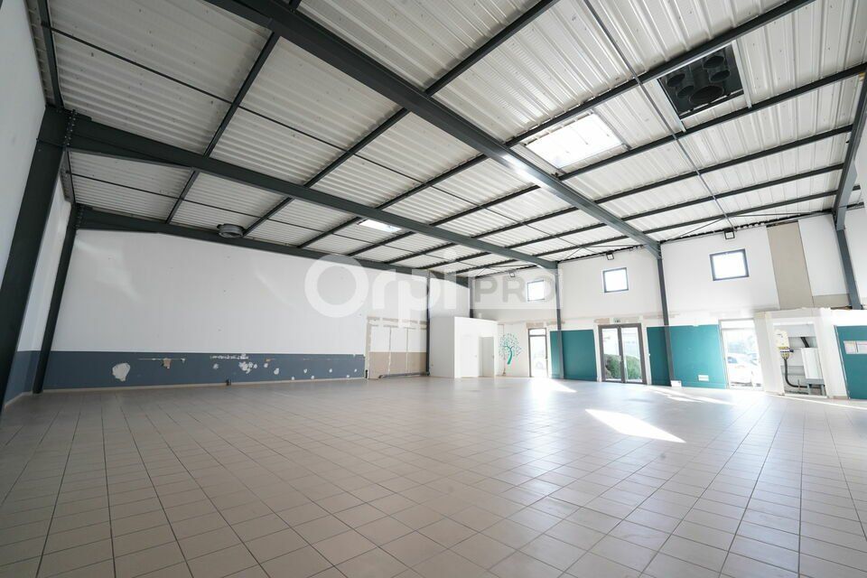 LOCAL D'ACTIVITE A LOUER - 364 m² - LYON 7