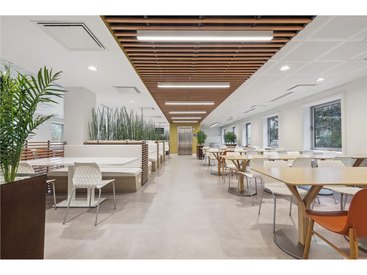 Location bureaux 1542 m² non divisibles